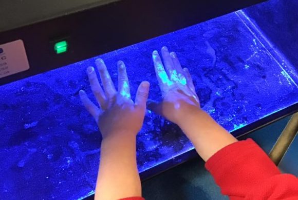 Hand Inspection Hand Inspection
