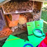 Harbour Bears Pre-School Bee Bug Hotel is a great eco activity for Larne