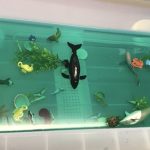 A water table filled with turquoise coloured water, various animal creatures and plants