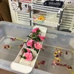 A Water bath with flowers