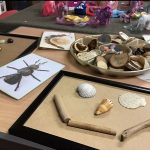 A table filled with natural resources for art